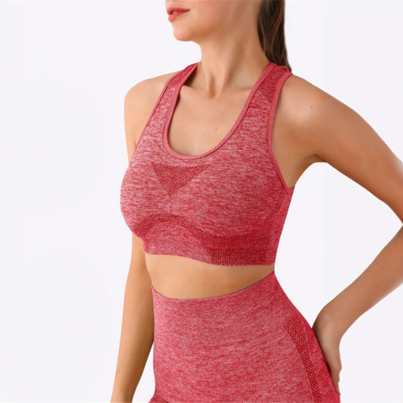 2 Piece Sports Bra + Yoga Shorts