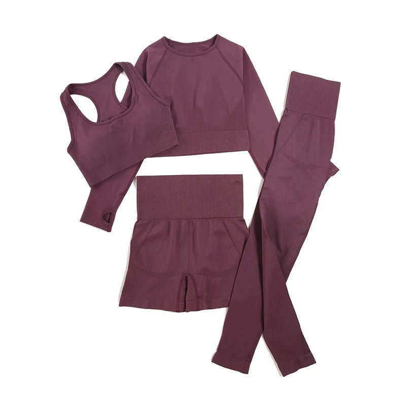 4 Piece Set: Long Sleeve, Sports Bra, Yoga Pants, Yoga Shorts